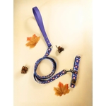 accessoire pour chien motif citrouille