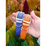 collier biothane pour chien