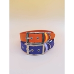 collier biothane pour chien