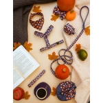 accessoire citrouille pour chien