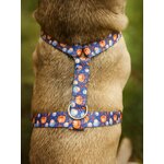 Harnais Stylidog Coffee Paw (2)
