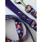 Laisse pour chien Stylidog - CoffePaw (2)