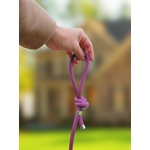 Laisse pour chien corde Stylidog