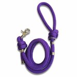 laisse corde stylidog chien