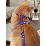 Laisse pour chat Stylicat