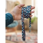 Laisse pour chat stylicat