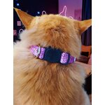 COLLIER POUR CHAT STYLICTA