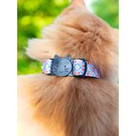 Collier pour chien stylicat