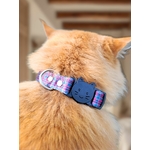 COLLIER POUR CHAT STYLICAT