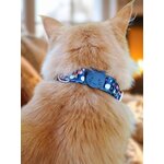 collier pour chat stylicat