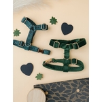 harnais stylidog