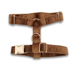 Harnais velours carré _20251121_160632_0003
