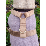 harnais stylidog