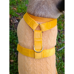 harnais stylidog