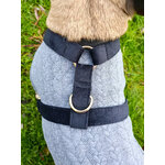 pull harnais stylidog