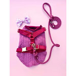 pull harnais stylidog