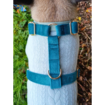 Pull pour chien en sweat torsadé – Sur mesure