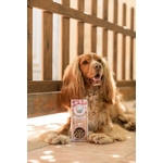 Friandise chien B 3