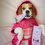 Friandise chien 4
