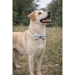 noeud stylidog