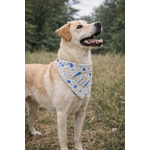 bandana stylidog