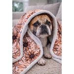plaid stylidog
