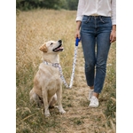 ballade stylidog