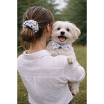 chouchou stylidog