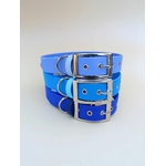 Collier pour chien biothane