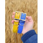 Collier pour chien biothane