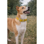 collier biothane stylidog 3