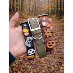 collier à pins pour chien Stylidog