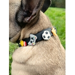 collier à pins pour chien Stylidog