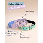 Collier personnalisé pour chien