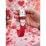 pack saint valentin stylidog