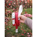 pack saint valentin stylidog