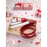 pack saint valentin stylidog