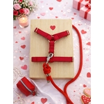 pack saint valentin stylidog