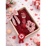 pack saint valentin stylidog