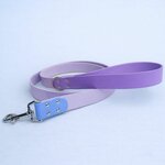 laisse personnalisée pour chien
