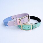 collier pour chien personnalisé