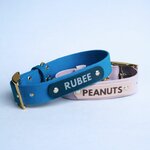 collier pour chien prénom