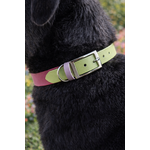 collier pour chien personnalisé stylidog