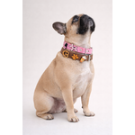 collier pour chien personnalisé stylidog