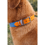 collier pour chien personnalisé stylidog