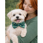 NOEUD PAPILLON STYLIDOG