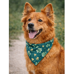 BANDANA STYLIDOG POUR CHIEN