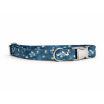 COLLIER POUR CHIEN STYLIDOG