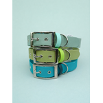 COLLIER BIOTHANE POUR CHIEN STYLIDOG