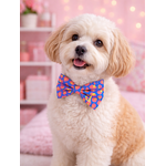 Noeud papillon stylidog